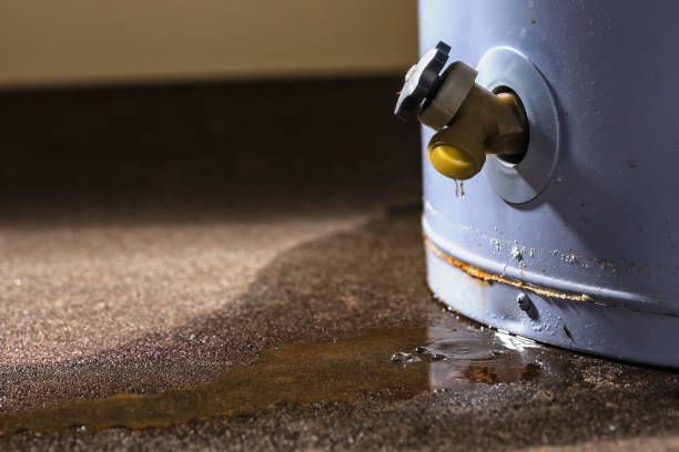 Best Commercial water damage restoration  in West Chicago, IL