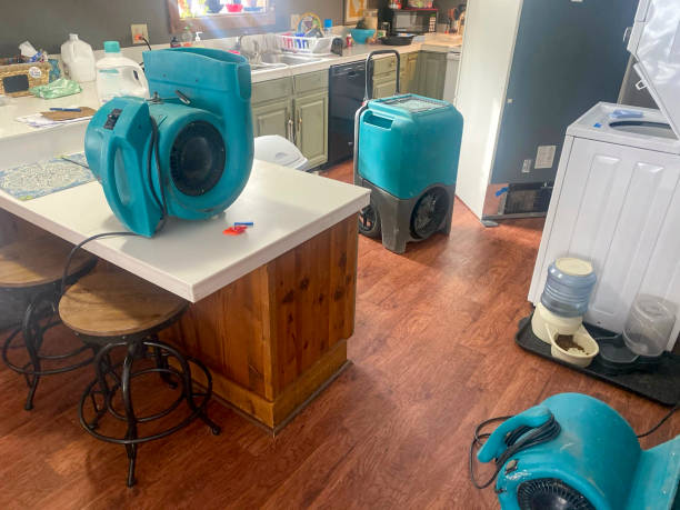 Best Basement water damage restoration  in West Chicago, IL