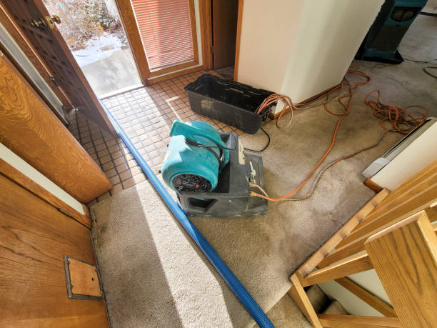 Best Water damage restoration insurance claims  in West Chicago, IL