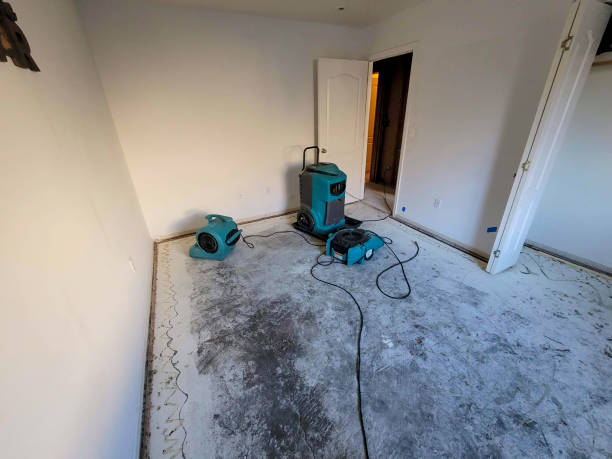 Best Water damage contractors near me  in West Chicago, IL