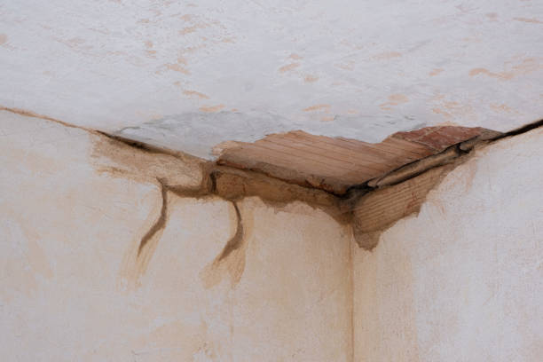 Best Water damage restoration near me  in West Chicago, IL