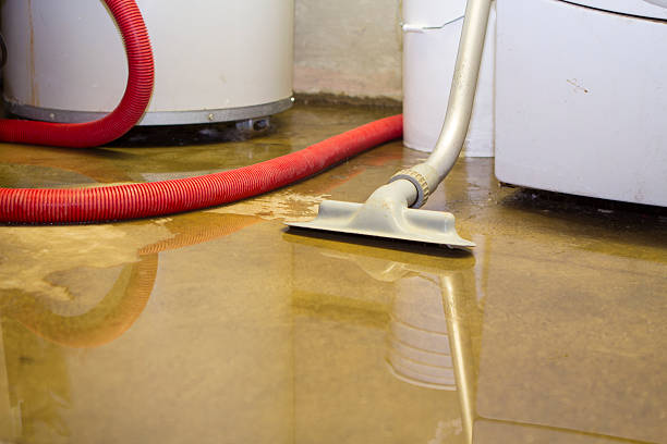 Best Flood damage cleanup  in West Chicago, IL