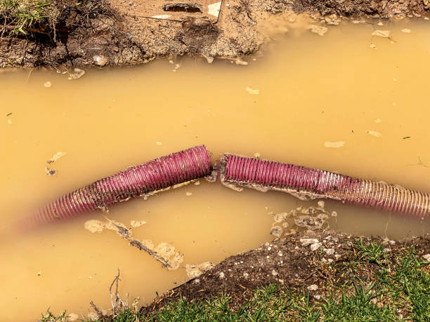 Best Basement water damage restoration  in West Chicago, IL